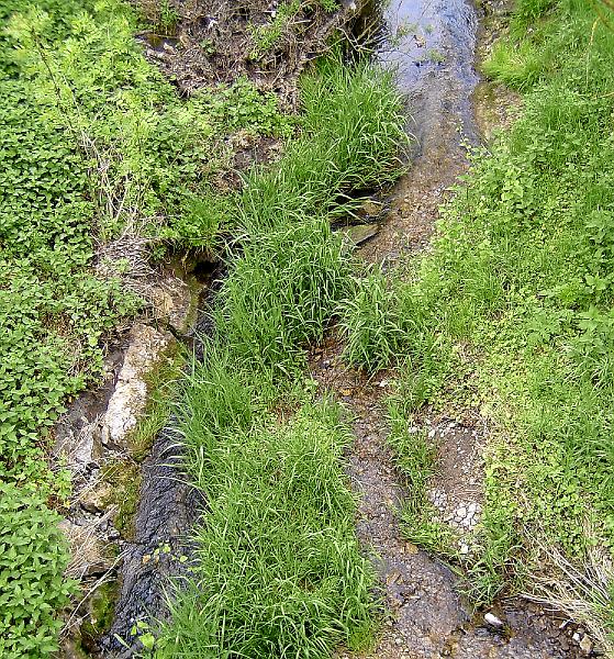 BILD0621.JPG - DIGITAL CAMERA 